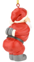 
              5932 Santa Back.jpg
            