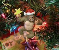 
              6199 on tree.JPG
            