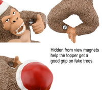 
              Magnets.jpg
            