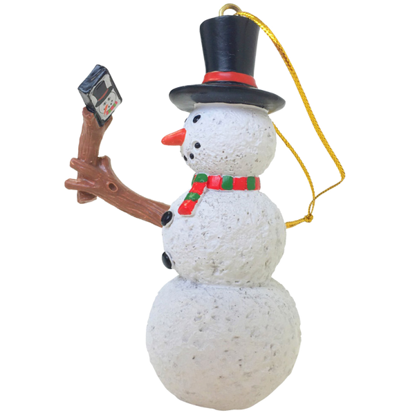 Selfie Stick ornament