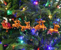 
              4003 - on tree.JPG
            