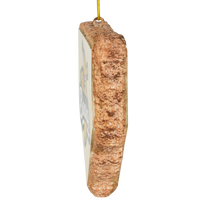 
              Tree Buddees x Savannah Bananas Home Plate Official Banana Ball Ornament - Limited Edition
            