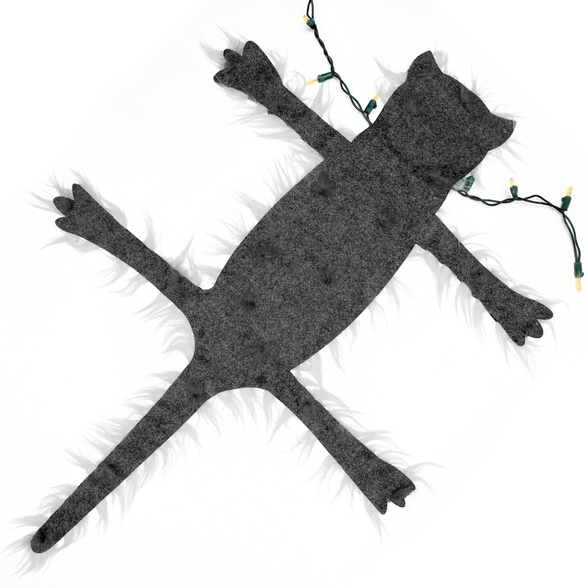 fried cat rug