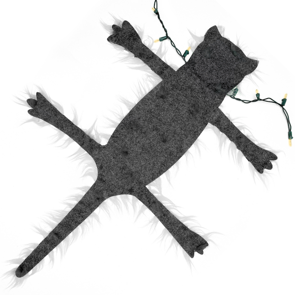 fried cat rug