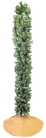 
              Tree Buddees Pre-lit LED Lights Cactus Christmas Tree 6 Foot Tall (White Lights)
            