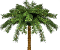 
              Sale - 7 Foot Tall Palm Tree Christmas Tree with Sand Colored Skirt
            